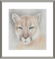 Saatchi - Cougar - Judy Imeson