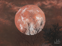 Beaver Moon - Full Moons - Judy Imeson