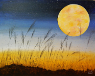 Full Moons - Judy Imeson