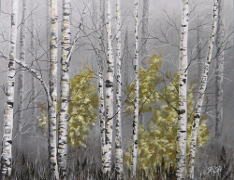 Golden Birch - Judy Horan