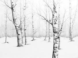 The Birch Forest - Judy (Imeson) Horan - 2022
