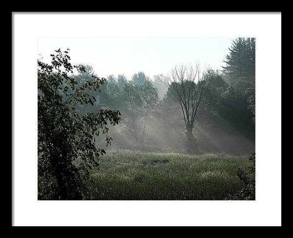 Judy Horan - Morning Mist - Photo