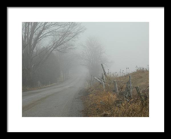 Judy Horan - Country Road Fog - Photo
